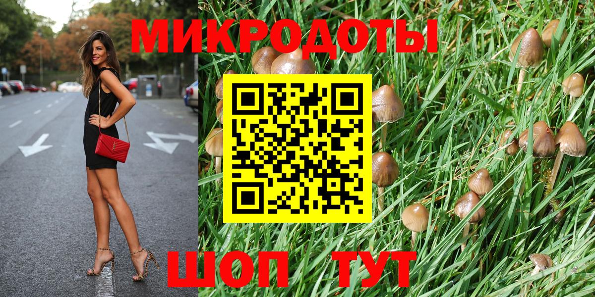 Галлюциногенные грибы GOLDEN TEACHER Нововоронеж