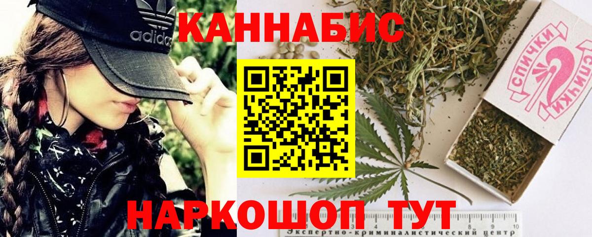 Конопля марихуана Нововоронеж